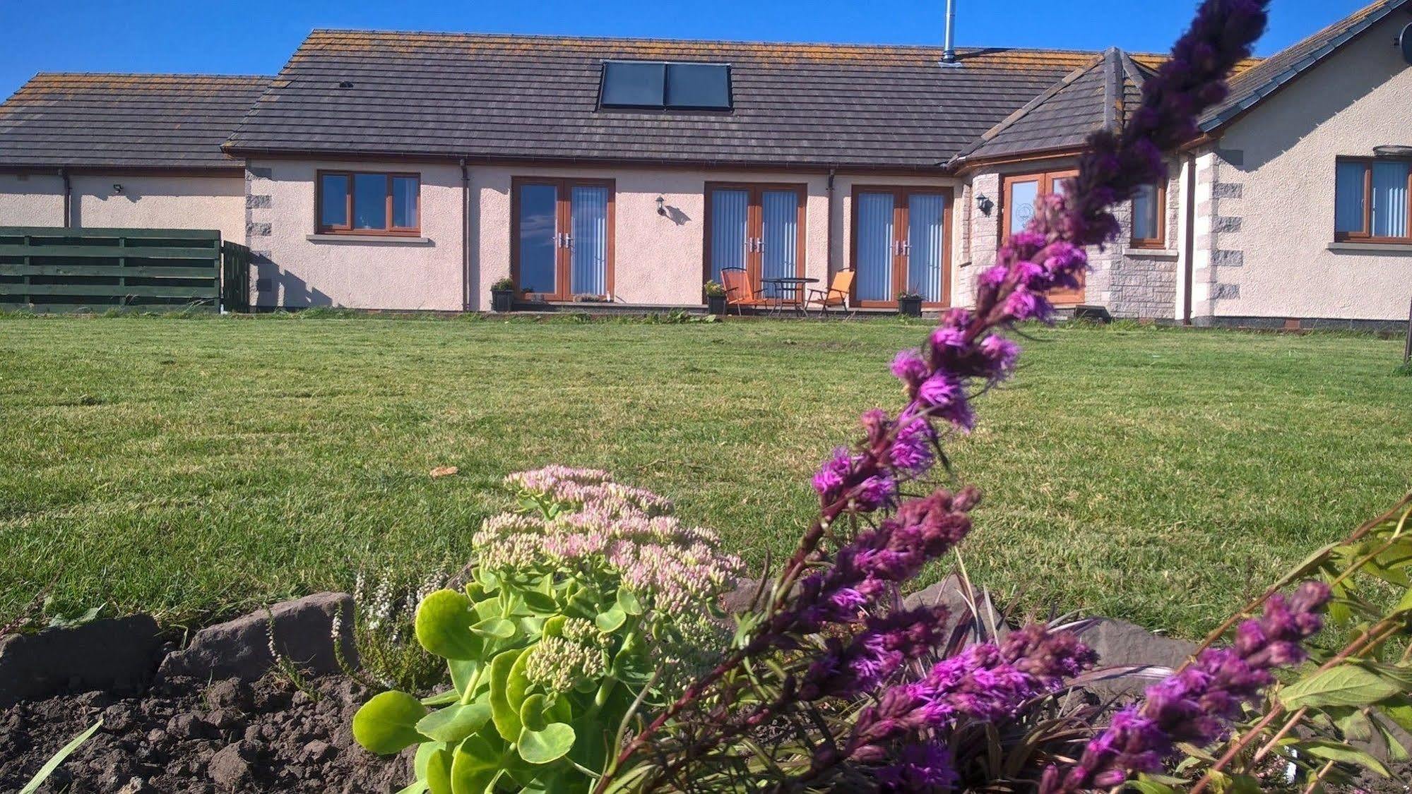 Bed and Breakfast A Castle View Keiss Exterior foto